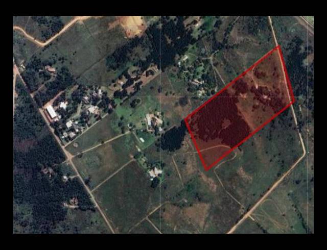 FARM FOR SALE IN RIETVALLEI AH